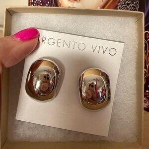 Argento Vivo Silver and Gold Earrings